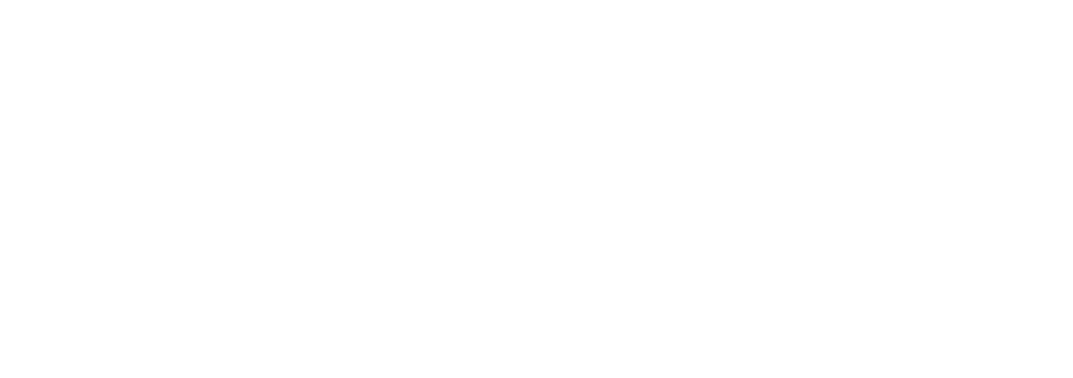 Global Innovations Network